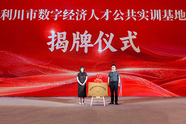 NLC电子(中国)集团