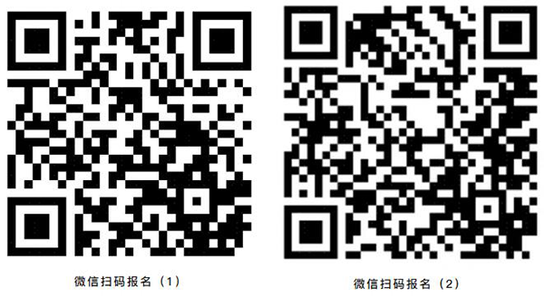 NLC电子(中国)集团