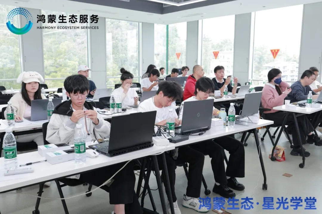 NLC电子(中国)集团