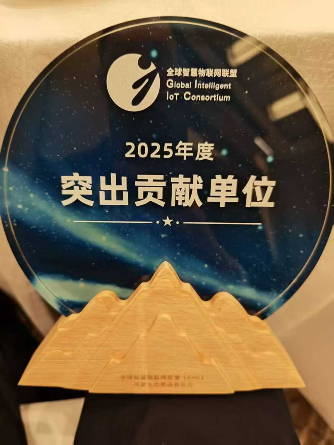 NLC电子(中国)集团