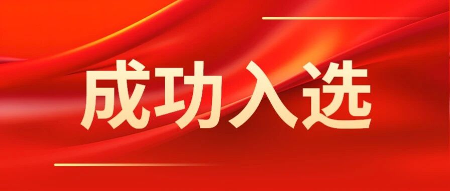 NLC电子(中国)集团