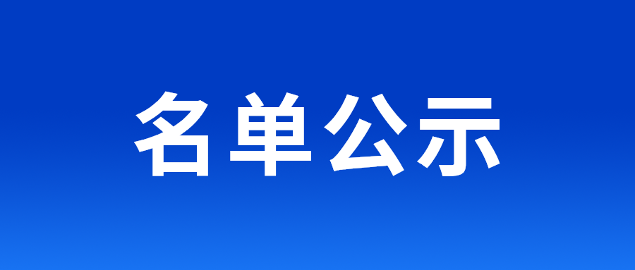 NLC电子(中国)集团